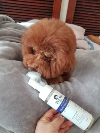 쪼꼬짱님이 올린 리뷰 사진 1