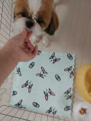 단우맘님이 올린 리뷰 사진 4