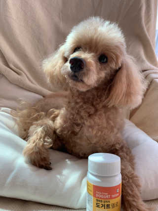 비비안님이 올린 리뷰 사진 1
