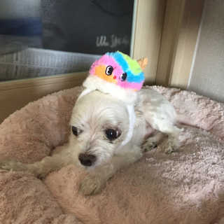 sweet1234님이 올린 리뷰 사진 2