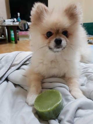 아린님이 올린 리뷰 사진 4