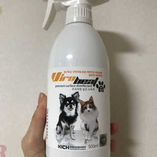 남궁은서님이 올린 리뷰 사진 2