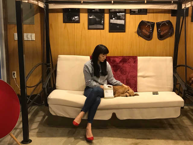 노멀 런드리 디터전트 리뷰 사진