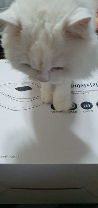 Woo7C님이 올린 리뷰 사진 4