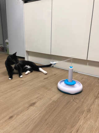 꽃살롱님이 올린 리뷰 사진 2
