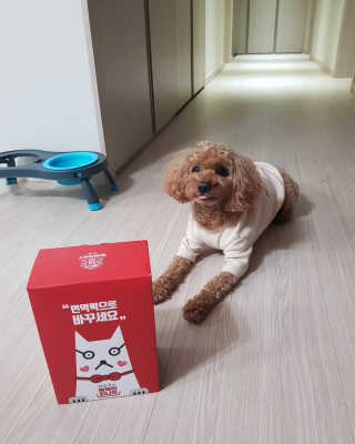 narae님이 올린 리뷰 사진 2
