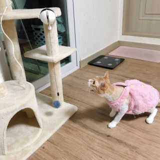 다혜님이 올린 리뷰 사진 3