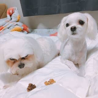 콩순이엄마님이 올린 리뷰 사진 4