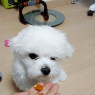 또덩님이 올린 리뷰 사진 3