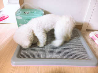 sooing님이 올린 리뷰 사진 2