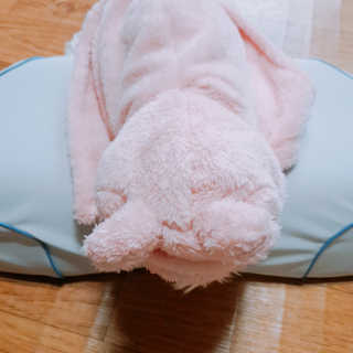 아임슬리핑 프리넥 참편한 메모리폼 경추베개 — 4점을 준 리뷰어가 2020년 2월 올린 사용 사진