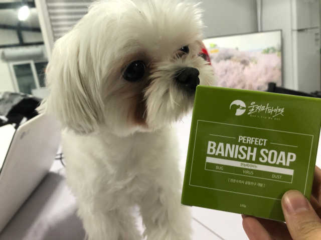 퇴치비누 리뷰 사진