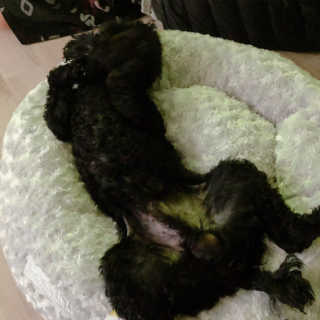 쩐다님이 올린 리뷰 사진 3