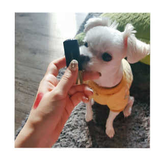 실이복님이 올린 리뷰 사진 1