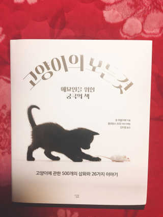 친절한지영씨님이 올린 리뷰 사진 1