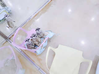 youngran님이 올린 리뷰 사진 1