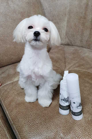parisjoo님이 올린 리뷰 사진 1