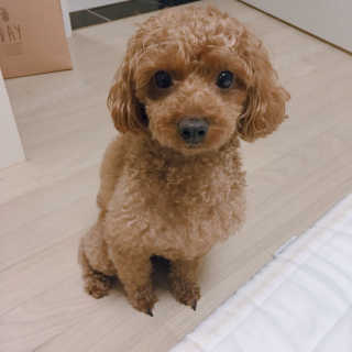 알럽마셆님이 올린 리뷰 사진 3