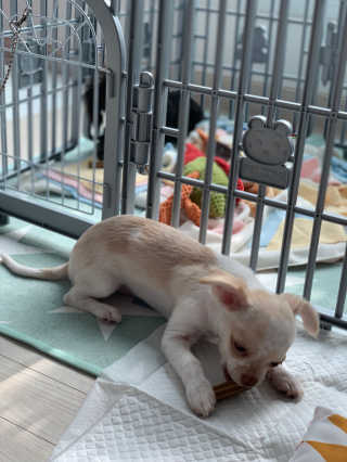 호진이맘♡님이 올린 리뷰 사진 3