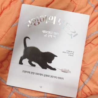 곽수진님이 올린 리뷰 사진 1