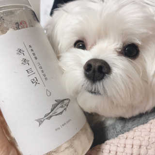 펫프렌즈 [면역력강화]첨가 북어 100퍼센트 촉촉트릿 북어 80g — 5점을 준 리뷰어가 2020년 1월 올린 사용 사진