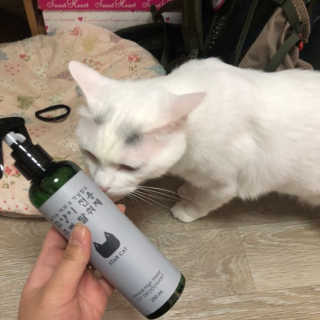 봄씨님이 올린 리뷰 사진 1