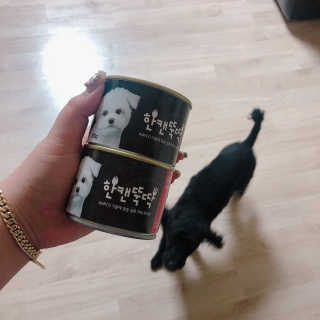[펫토리아] BEST 한캔뚝딱 강아지 캔간식 — 5점을 준 리뷰어가 2019년 3월 올린 사용 사진