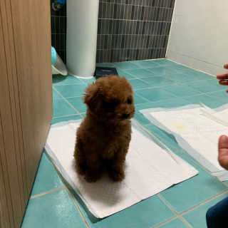 KellyChoi님이 올린 리뷰 사진 3