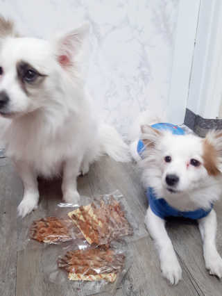 [펫토리아] 뚝딱뚝딱 400g 강아지 간식 베스트5종 — 5점을 준 리뷰어가 2019년 1월 올린 사용 사진