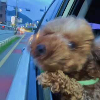 영주맘님이 올린 리뷰 사진 3