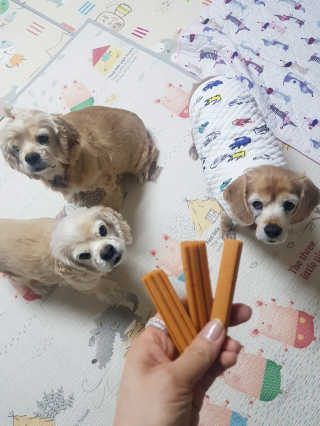 한지수님이 올린 리뷰 사진 3