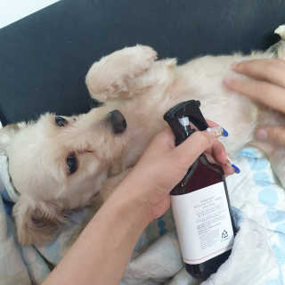 엣헴님이 올린 리뷰 사진 4