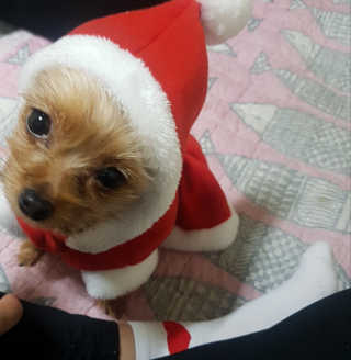 렌냥님이 올린 리뷰 사진 3