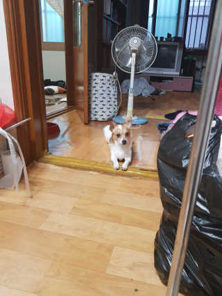 남초롱님이 올린 리뷰 사진 2