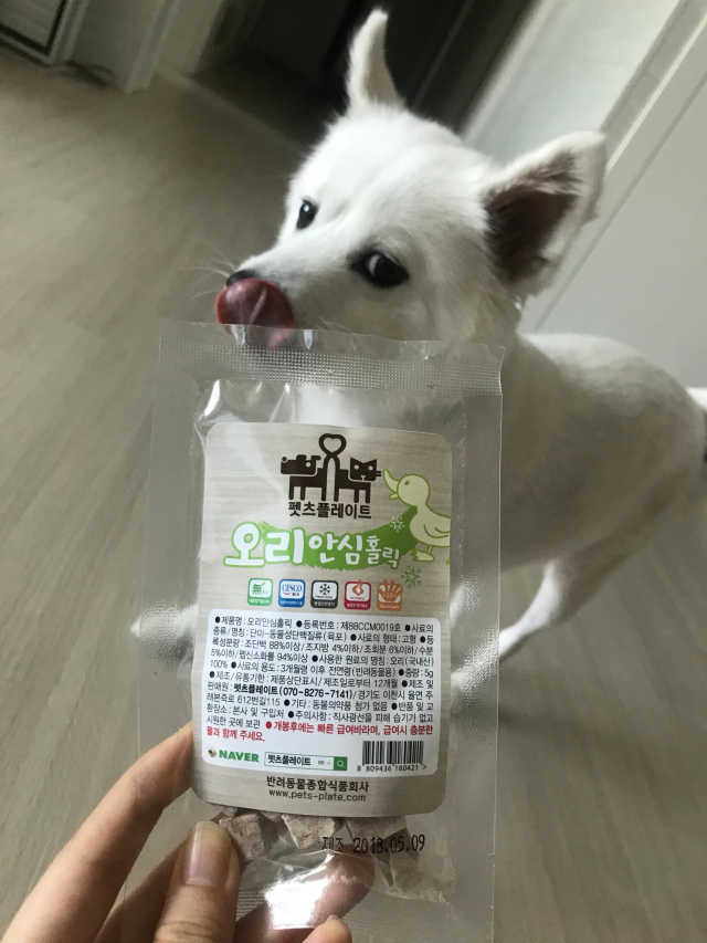 펫츠플레이트 동결건조간식 기호성 테스트 8종 리뷰 사진