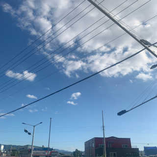 서블리님이 올린 리뷰 사진 2