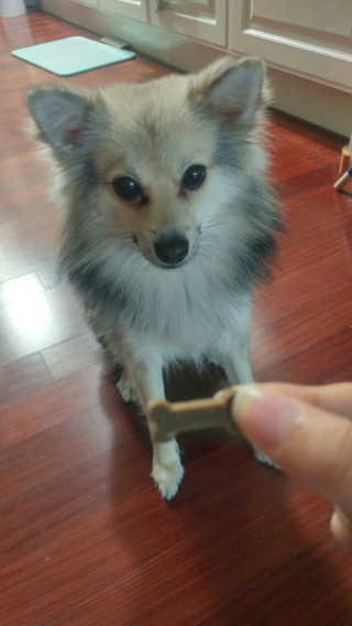 xoxo님이 올린 리뷰 사진 2