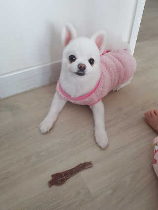 yeye님이 올린 리뷰 사진 2