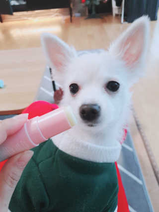 마시밀레 보드레밤 — 5점을 준 리뷰어가 2019년 1월 올린 사용 사진