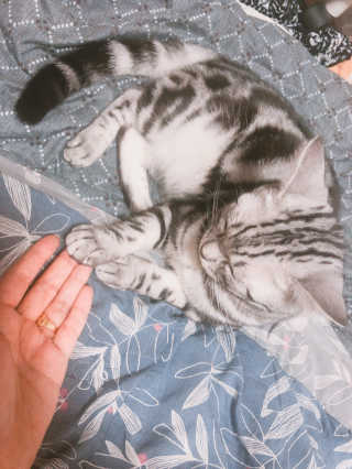랑랑하다님이 올린 리뷰 사진 2