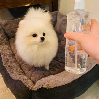 임수빈님이 올린 리뷰 사진 2