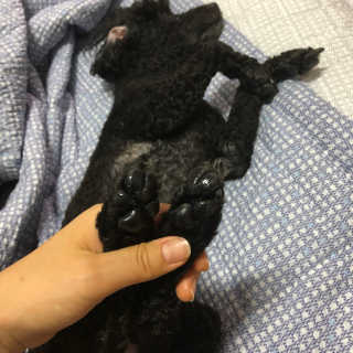 엄디님이 올린 리뷰 사진 2
