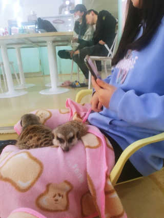 해밀님이 올린 리뷰 사진 2