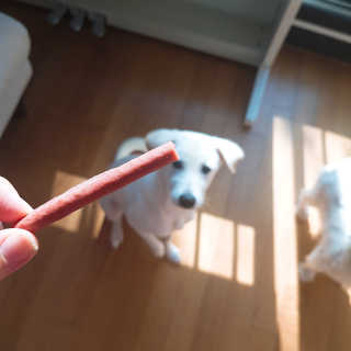 견우네님이 올린 리뷰 사진 4