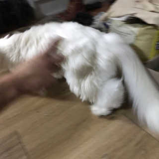 ㅈㅅ님이 올린 리뷰 사진 2