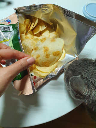 하루민님이 올린 리뷰 사진 4