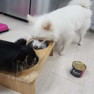 KimJoMania님이 올린 리뷰 사진 2