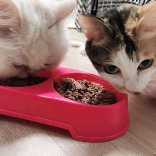 윤느님이 올린 리뷰 사진 4