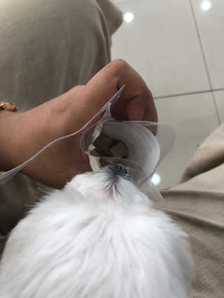 민지님이 올린 리뷰 사진 2