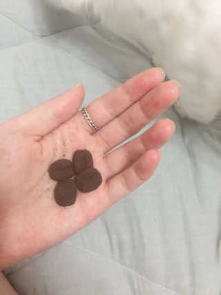 익쿠님이 올린 리뷰 사진 1